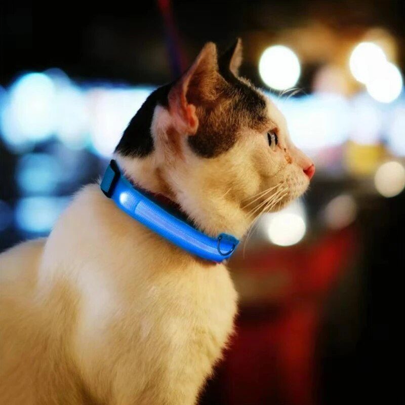 Premium LED Pet Collar