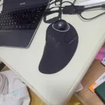 167df8b87255b05fbef66f346a8e7bf1.webp