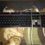 901fbd1881747d073725627c55b4755f.webp