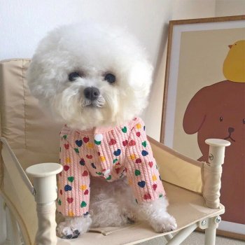 Heart Print Pet Clothes for Stylish Dogs