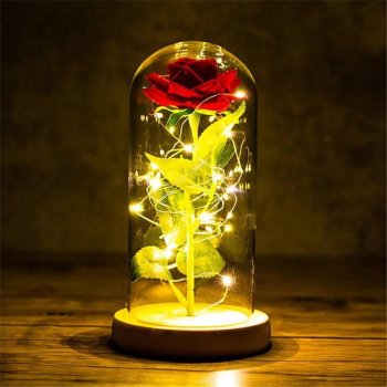 Eternal Rose LED Glass Dome