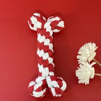 Valentine's Day Puppy Chew Toy