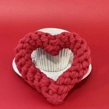 Valentine's Day Puppy Chew Toy