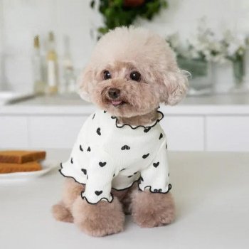 Dog Love Vest