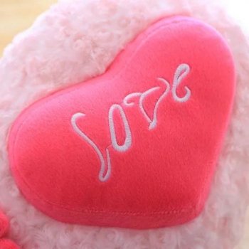 Charming Rose Pink Heart-Shaped Love Cushion