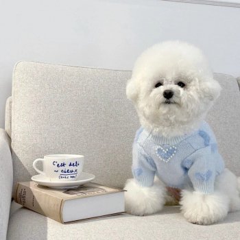 Cozy Blue Love Dog Sweater