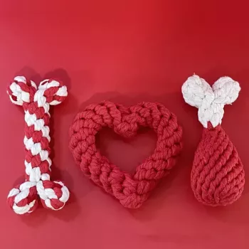 Valentine's Day Puppy Chew Toy