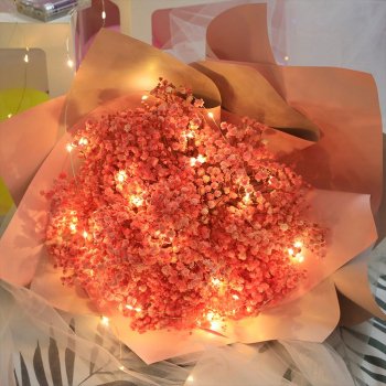 Romantic LED USB Alloy Wire String Lights