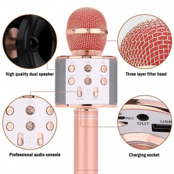 Portable Bluetooth Karaoke Microphone