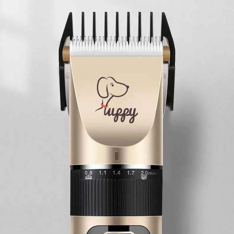 description-image-4