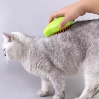 3-in-1 Steamy Cat Grooming Brush with USB Charging