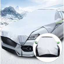 winter car protection
