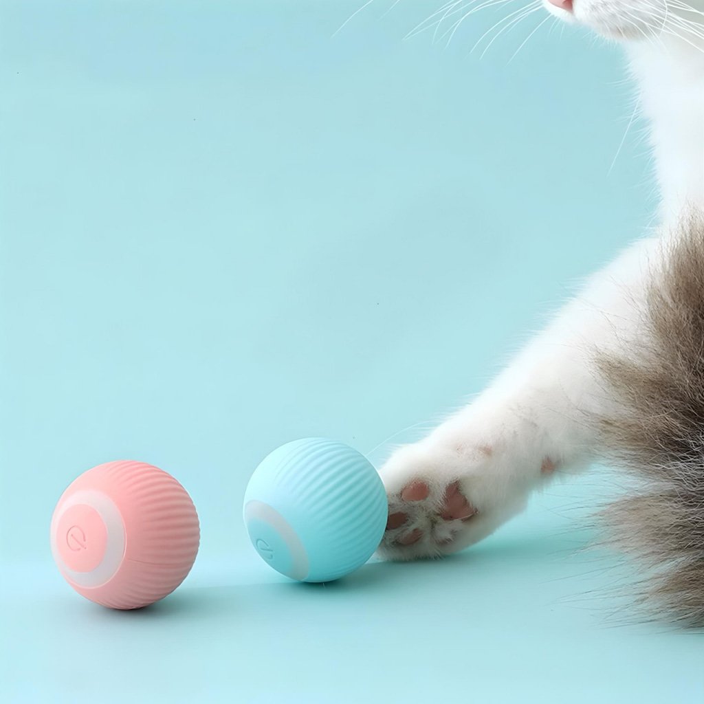 cat toy ball