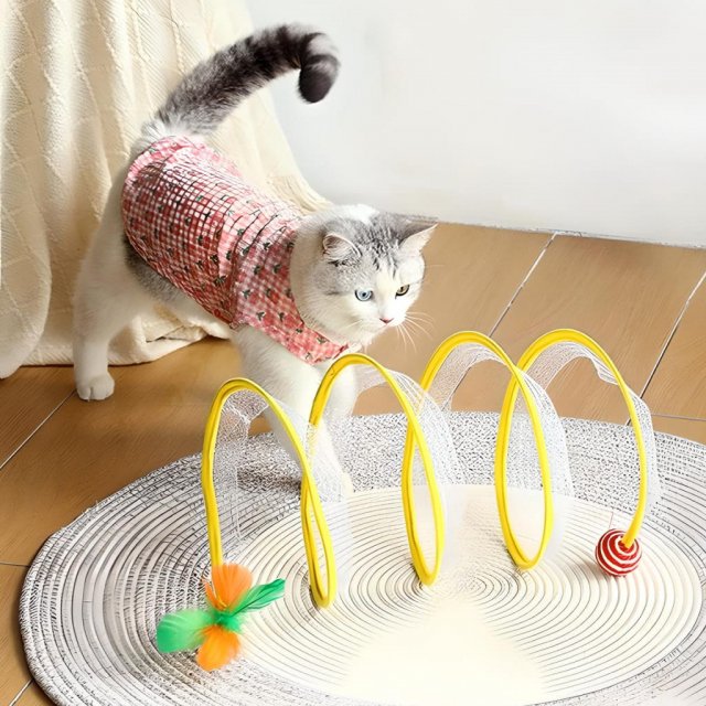 Tunnel Avventura per Gatti
