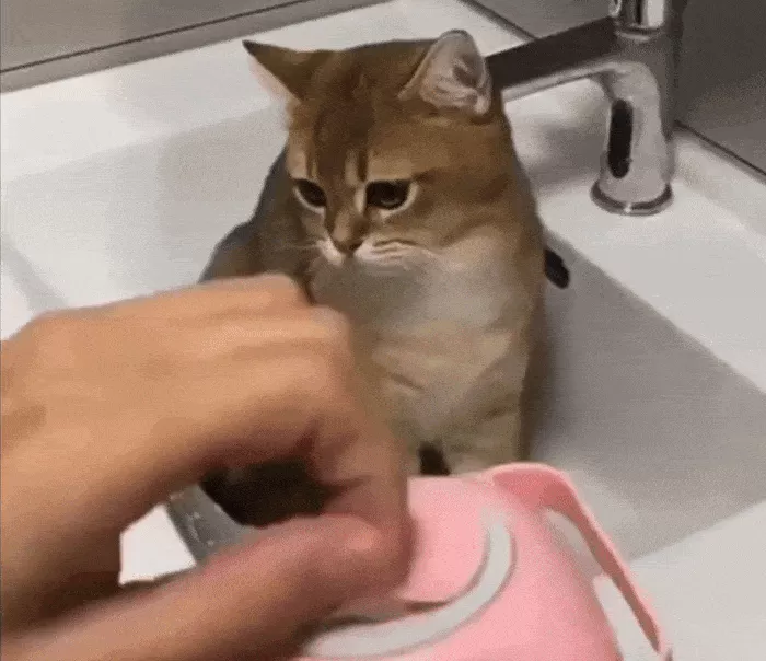 Pet Shampoo Massager Brush