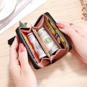 Chic Mini Tassel Zipper Wallet