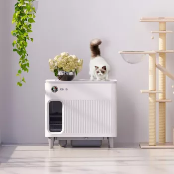Smart Self-Cleaning Cat Litter Box: Automatic, Low-Noise with Wi-Fi APP Control