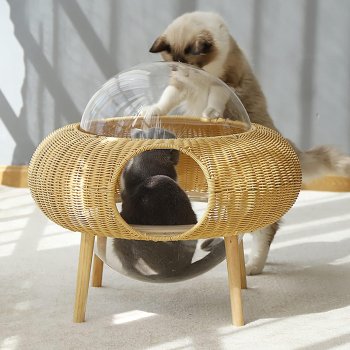 UFO Space Module Cat Nest