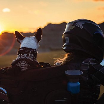 Durable Weatherproof Portable Motorcycle Dog Carrier