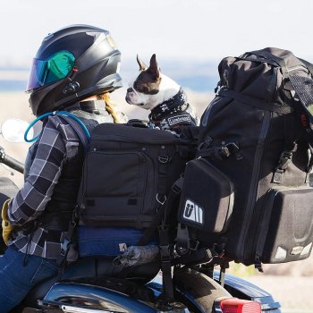 Durable Weatherproof Portable Motorcycle Dog Carrier