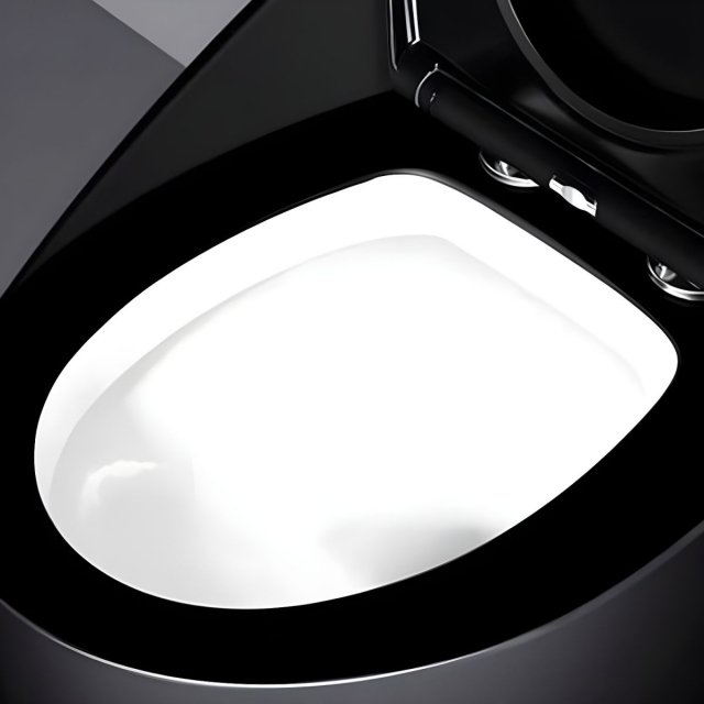 Matte Black Siphon Jet Toilet - Compact Egg-Shaped Design - Image 7