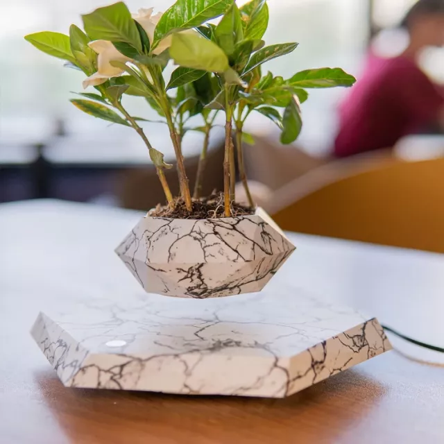 Floating Plant Pot Levitating Plant Pot for Succulents - Image 7
