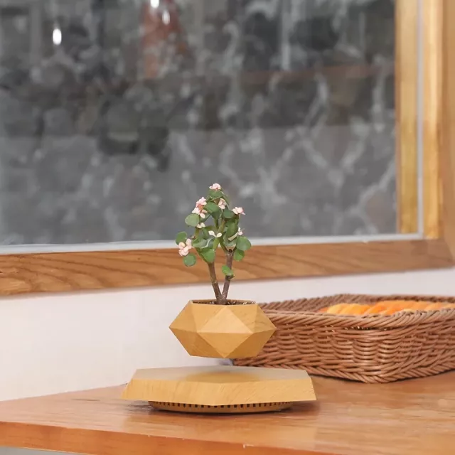 Floating Plant Pot Levitating Plant Pot for Succulents - Image 4