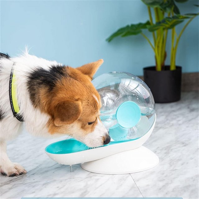 2.8L Automatic Pet Water Fountain - Image 3