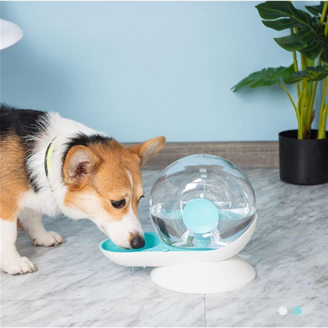 2.8L Automatic Pet Water Fountain - Image 2