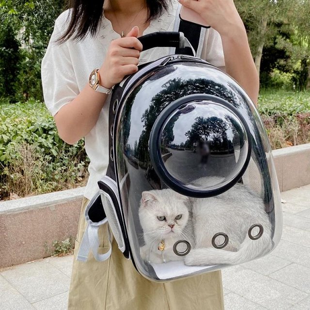 Luxury Cat Space Capsule Backpack - Transparent Pet Carrier for Stylish Outings - Image 9