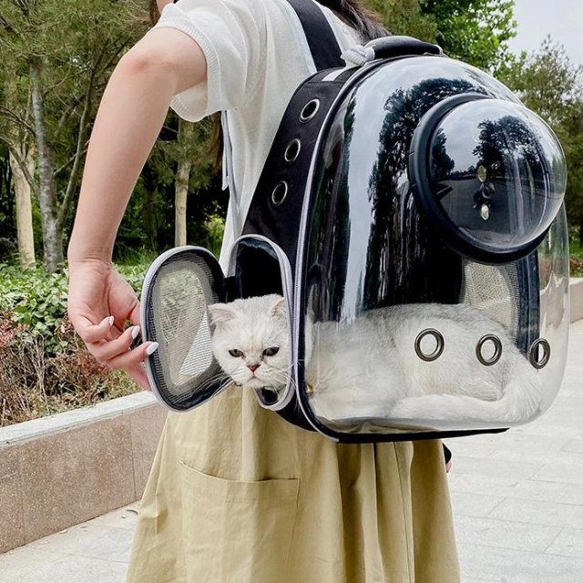 Luxury Cat Space Capsule Backpack - Transparent Pet Carrier for Stylish Outings - Image 8