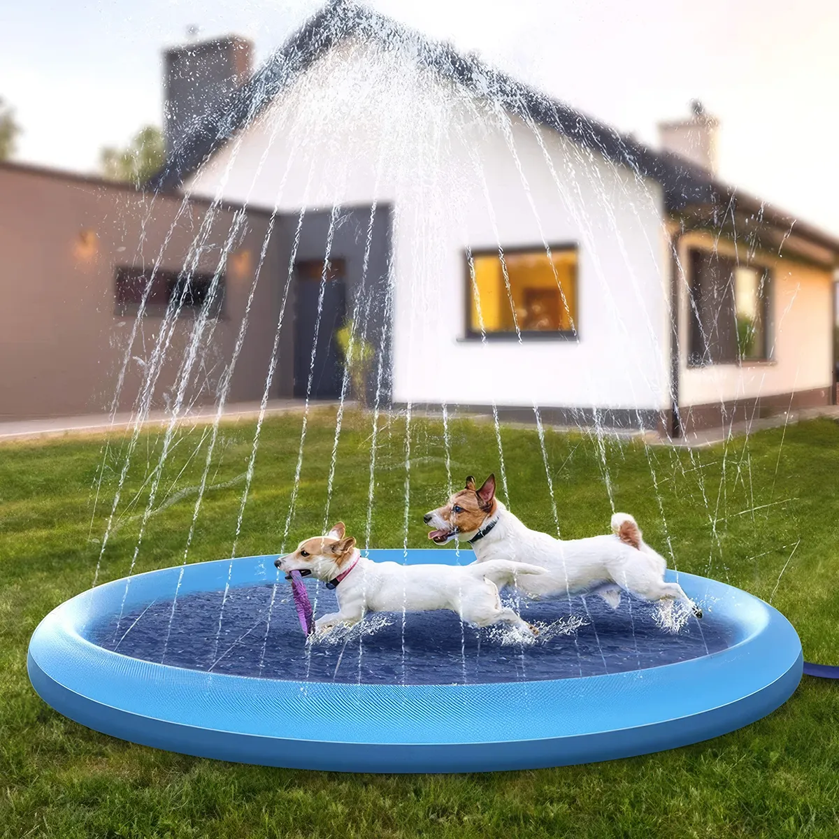 Interactive Dog Splash Pool & Sprinkler Mat