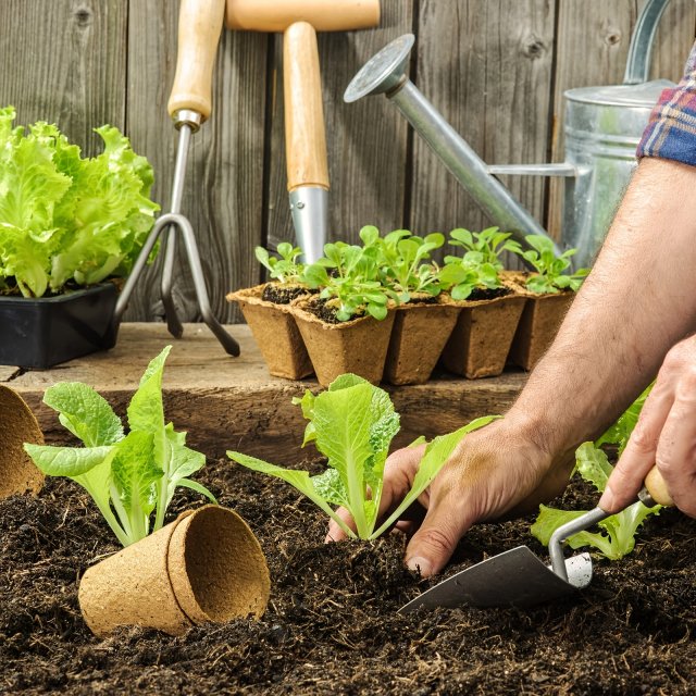 Biodegradable Paper Nursery Pots and Plant Labels Set - Image 2
