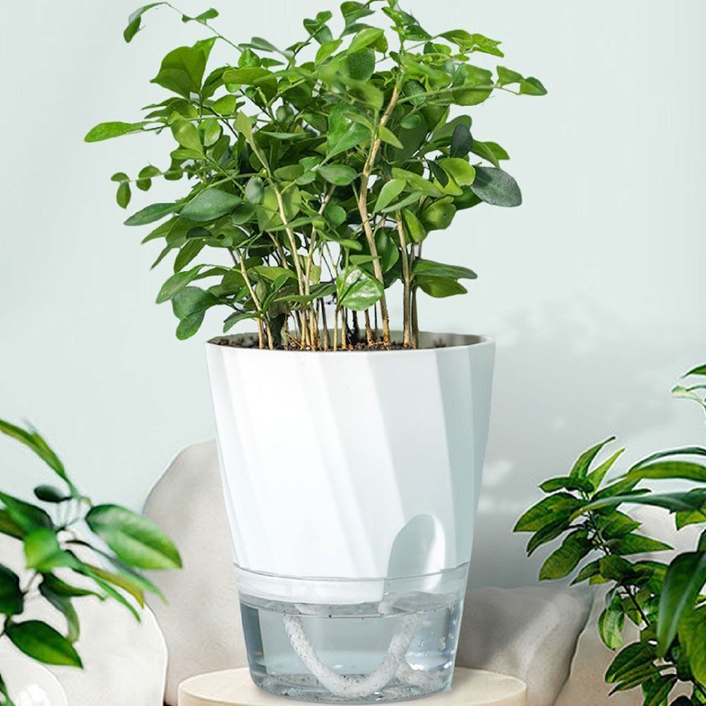 Efficient Self-Watering Transparent Planter Home & Garden Home Decor