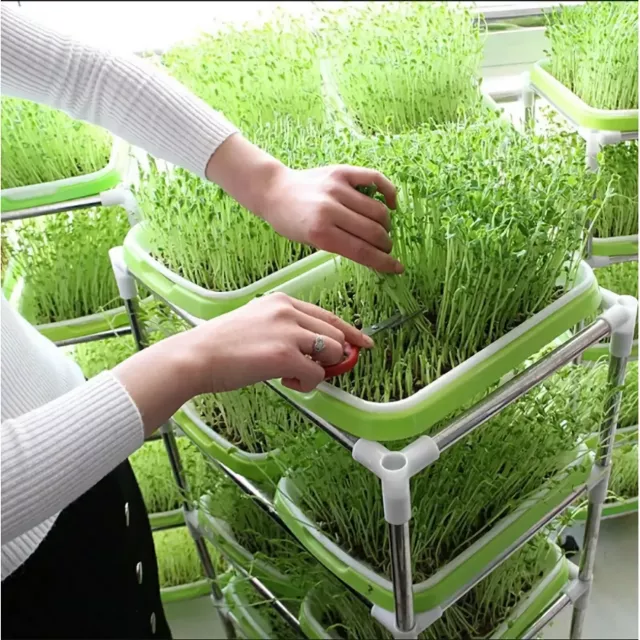 Horticultural Hydroponic Microgreens Sprouter Tray - Image 5