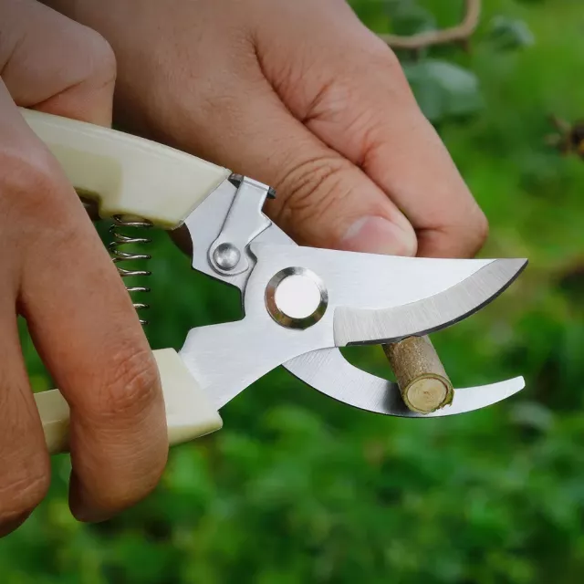 Stainless Steel Pruning Shear Scissor for Gardening - Image 2