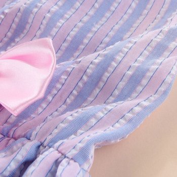Summer Striped Butterfly Dog Skirt