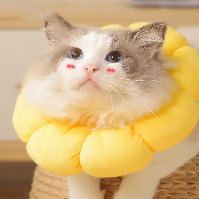 Yellow Cotton Sunflower Shaped Anti-Lick Bite Neck Collar for Cats - Image 3