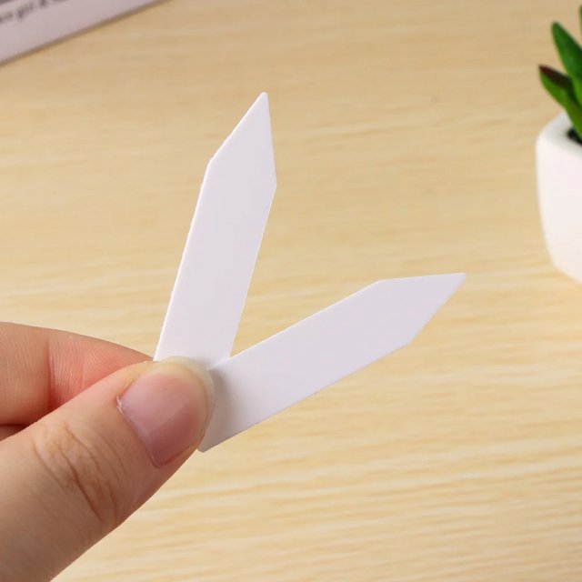 Biodegradable Paper Nursery Pots and Plant Labels Set - Image 7