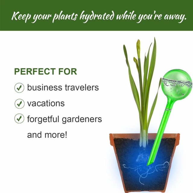 3Pc Automatic Plant Watering Bulbs - Image 3