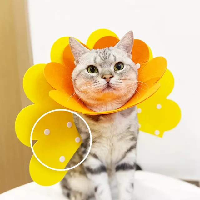 Yellow Flower Shaped Pet Protective Anti-Bite Lick Neck Collar - Image 5