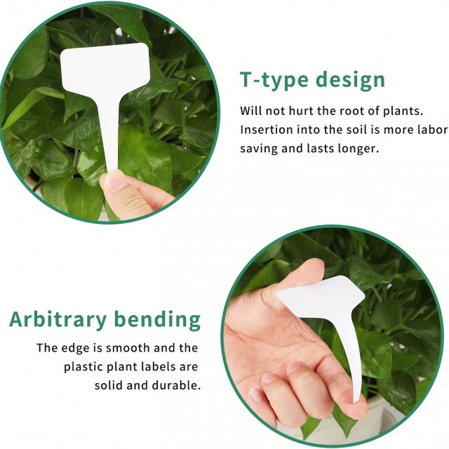 Biodegradable Paper Nursery Pots and Plant Labels Set - Image 8