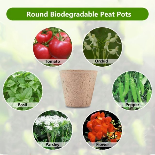 Biodegradable Paper Nursery Pots and Plant Labels Set - Image 3