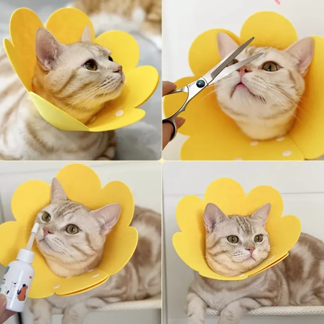 Yellow Flower Shaped Pet Protective Anti-Bite Lick Neck Collar - Image 2