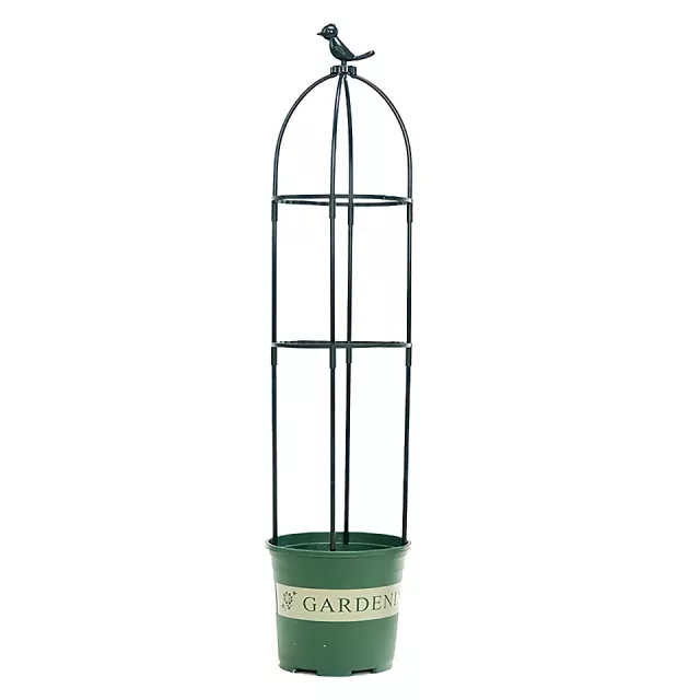 Adjustable 2/3-Tier Garden Trellis for Climbing Plants and Flowers - Image 4
