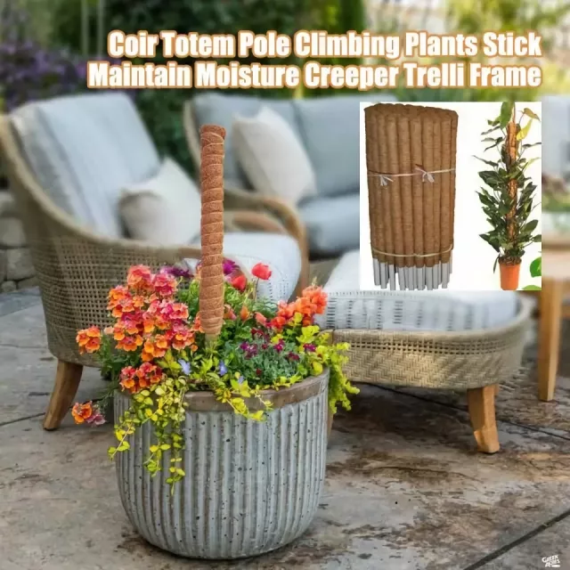 Indoor Garden with the Coir Moss Stick - Image 4