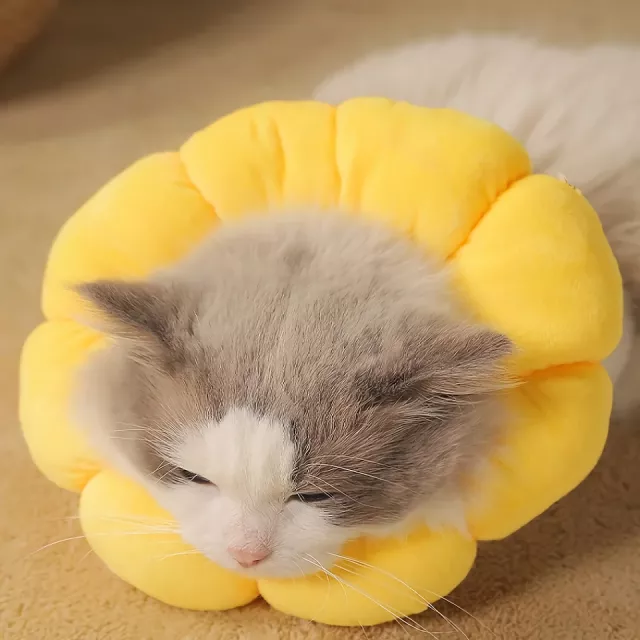 Yellow Cotton Sunflower Shaped Anti-Lick Bite Neck Collar for Cats - Image 5