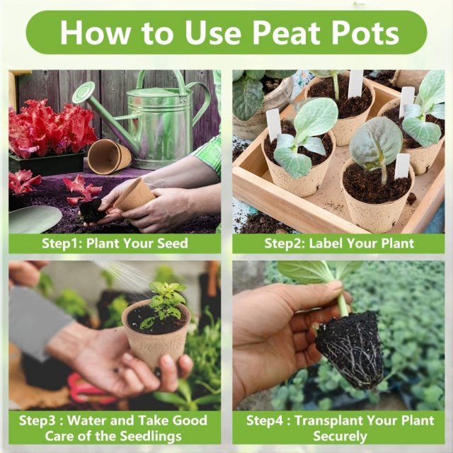 Biodegradable Paper Nursery Pots and Plant Labels Set - Image 4