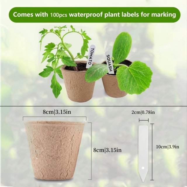 Biodegradable Paper Nursery Pots and Plant Labels Set - Image 6