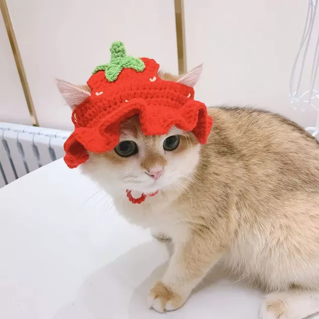 Cute Knitted Hat for Cats - Image 7